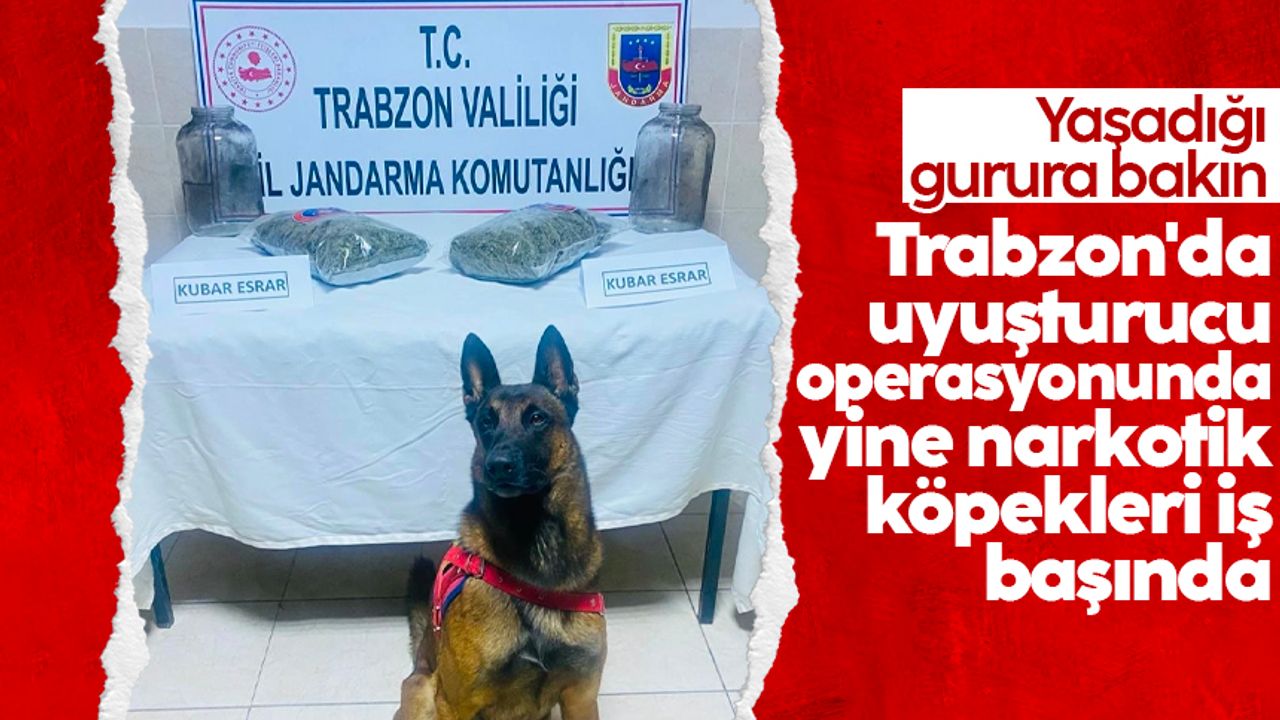 Trabzon'da uyuşturucu operasyonunda yine narkotik köpekleri iş başında