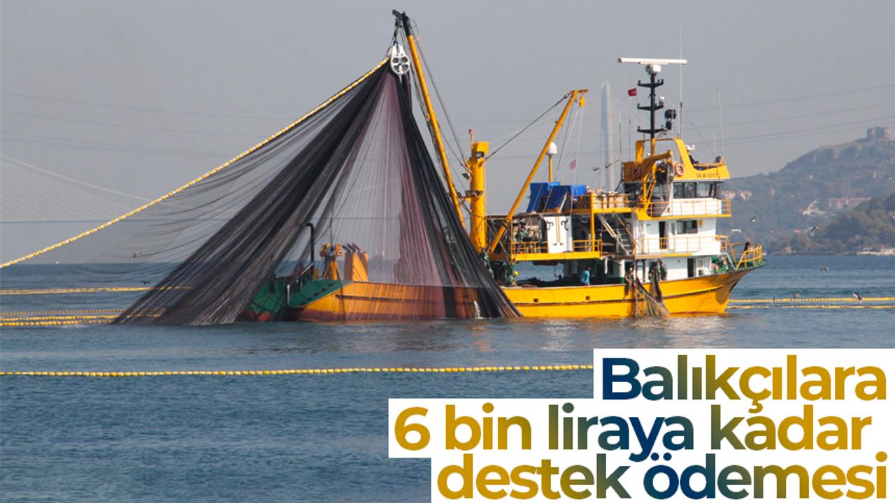 Küçük ölçekli balıkçı gemilerine 6 bin liraya kadar destek ödemesi yapılacak