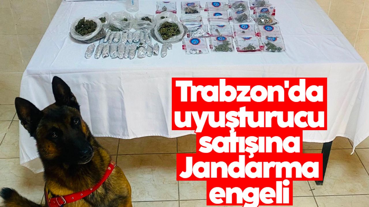 Trabzon'da uyuşturucu satışına Jandarma engeli
