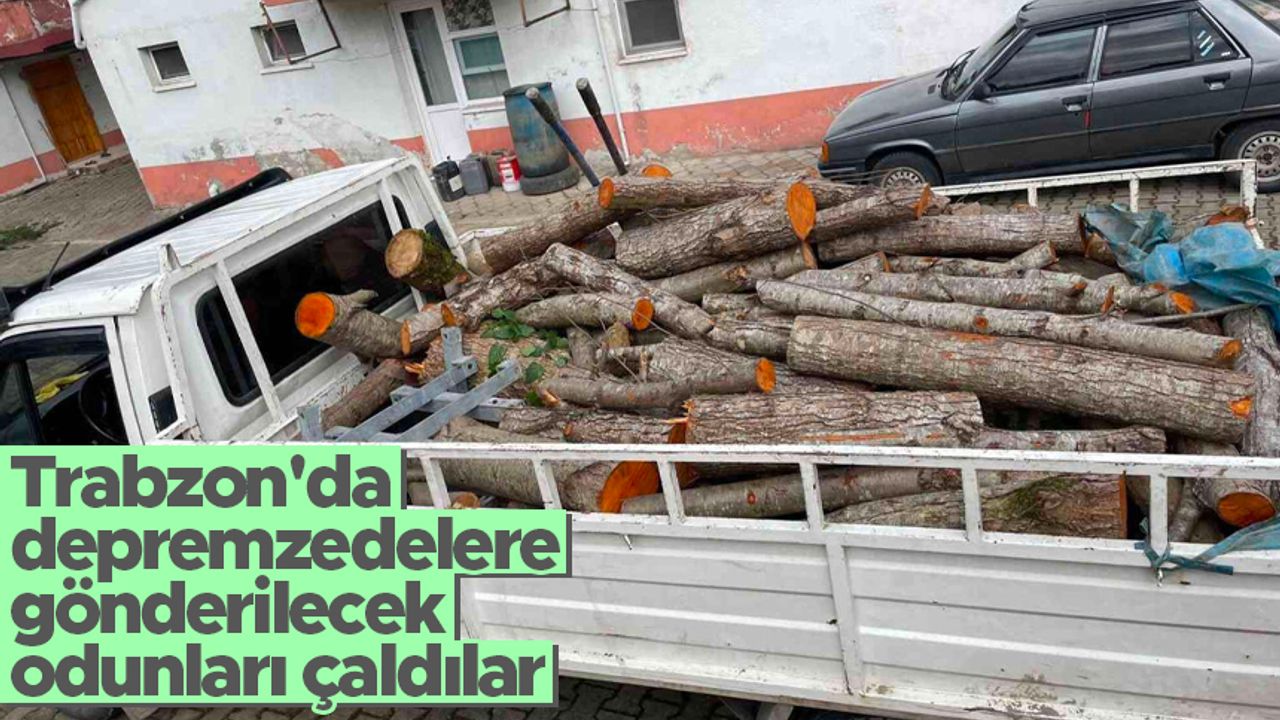 Trabzon'da depremzedelere gönderilecek odunları çaldılar
