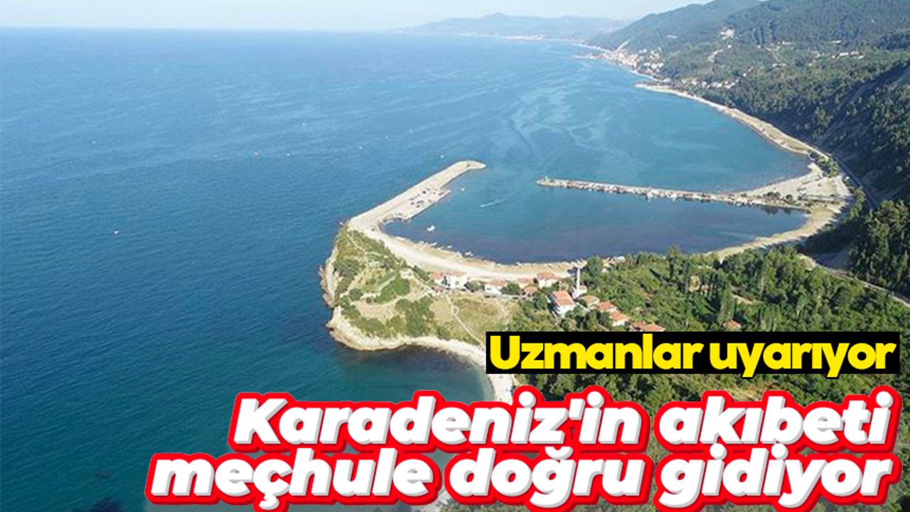 Jeoloji Mühendisi Prof. Dr. Osman Bektaş: 'Karadeniz'in akıbeti meçhule doğru gidiyor'