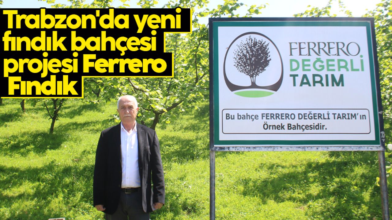 Trabzon'da yeni fındık bahçesi projesi Ferrero Fındık