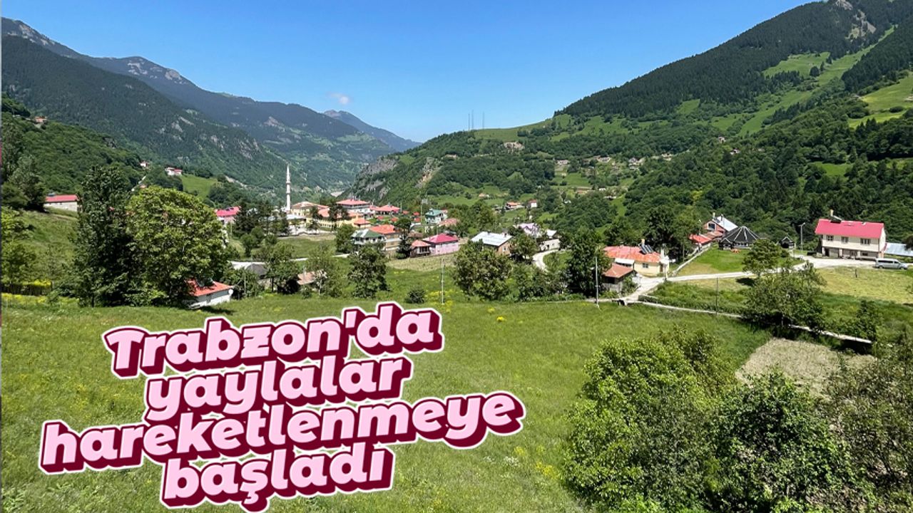 Trabzon'da yaylalar hareketlenmeye başladı
