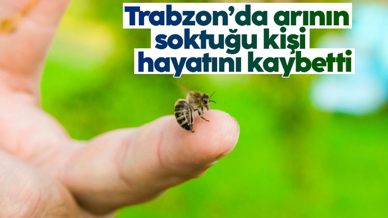 Trabzon'da arı sokması can aldı