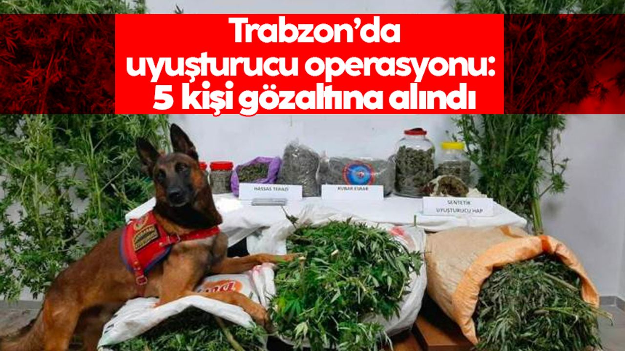 Trabzon’da iki ilçede uyuşturucu operasyonu: 5 kişi gözaltına alındı