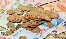 Merkez Bankasından TL'ye Müdahale