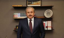 TBMM Başkanı Şentop'tan anayasa mesajı