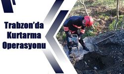 Trabzon'da Kanalda sıkışan köpeği itfaiye kurtardı