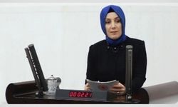 Bahar Ayvazoğlu’ndan down sendromlu çocuklara müjde