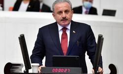 Şentop Hangi Vekil İçin 'Durumu Farklı' dedi?