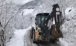 Trabzon ve Rize'de kar yağışı nedeniyle yollar kapandı