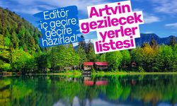 Artvin gezilecek yerler listesi