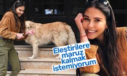 Dilara Aksüyek: Eleştirilere maruz kalmak istemiyorum