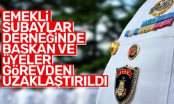 İçişleri Bakanlığı, TESUD yönetimini görevden uzaklaştırdı