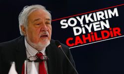 Prof. Dr. İlber Ortaylı: Soykırım diyen cahildir