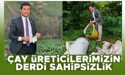 Ahmet Kaya: Çay üreticilerimizin derdi sahipsizlik