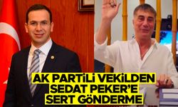 AK Parti vekilden Sedat Peker’e sert gönderme