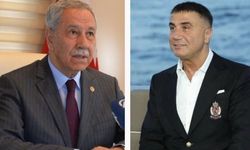 Arınç'tan Peker yorumu: "Şanlı yargımız” gerekeni yapacak heralde