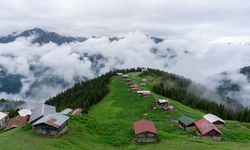 Ayder Yaylası'nda tepki çeken görüntü