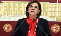 CHP'li Gaye Usluer partisinden istifa etti