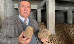 CHP'li Gürer: "100 bin ton patates çürüdü"