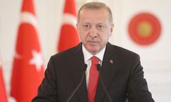 Cumhurbaşkanı Erdoğan'dan CHP'li Erdoğdu'ya tazminat davası