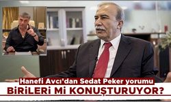 Hanefi Avcı'dan Sedat Peker yorumu: Birileri mi konuşturuyor?
