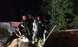 Bu da; itfaiyeden  İnek operasyonu