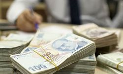 Vergi affından kim, nasıl yararlanacak? Vergi yapılandırması nasıl yapılacak?