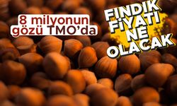 8 milyonun gözü TMO’da! Fındık fiyatı ne olacak?