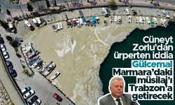 Cüneyt Zorlu; Gülcemal, Marmara’daki müsilaj'ı Trabzon’a getirecek