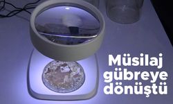 Müsilaj gübreye dönüştü