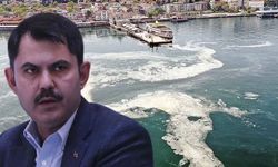 Müsilaj tehlikeli mi? Bakan Kurum ilk sonuçları açıkladı