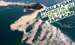 Müsilajdan kozmetik jel ve krem yapılacak