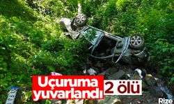 Rize'de kamyonet uçuruma yuvarlandı