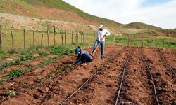 Terörden temizlenen köylere dönüş : Çok mutlu ve huzurluyuz
