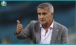 Tümer Metin Şenol Güneş'i istifaya davet etti