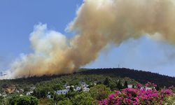 Bodrum’da yangın