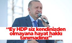 Cumhurbaşkanı Erdoğan: Ey HDP siz kendinizden olmayana hayat hakkı tanımadınız