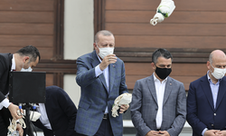 Erdoğan'ın selin vurduğu Rize'de çay dağıtması karikatür konusu oldu