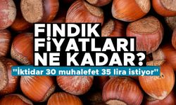 Fındık fiyatları ne kadar? "İktidar 30 muhalefet 35 lira istiyor"
