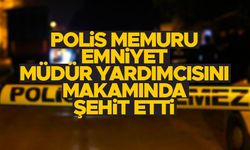 Hakkari İl Emniyet Müdür Yardımcısı silahlı saldırıda şehit oldu