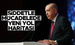 İstanbul Sözleşmesi'nin yerine 5 maddelik Eylem Planı
