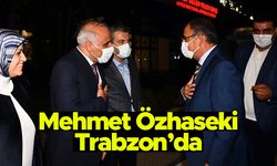 AK Parti Genel Başkan Yardımcısı Mehmet Özhaseki Trabzon'da