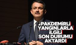 Bakan Bekir Pakdemirli yangınlarla ilgili son durumu aktardı