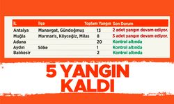 Bekir Pakdemirli: 112 orman yangınının 107'si kontrol altında