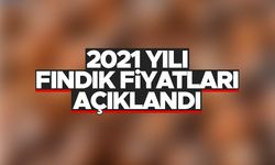 Cumhurbaşkanı Erdoğan fındık fiyatlarını açıkladı - 2021 yılı fındık fiyatları ne kadar oldu?
