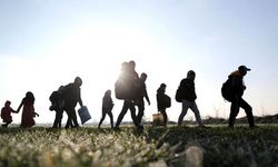 Letonya OHAL, Litvanya acil durum ilan etti