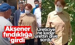 Meral Akşener fındıklığa girdi - Üreticilerle sohbet etti