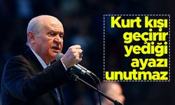 MHP lideri Devlet Bahçeli: "Kurt kışı geçirir, yediği ayazı unutmaz"